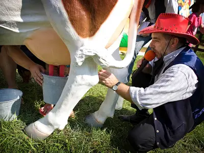 Animator zabaw z mikrofonem - Park Atrakcji Country Zagroda - Organizacja Imprez, Pikników, Festynów