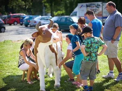 Konkurs dojenia sztucznej krowy - Park Atrakcji Country Alaja - Organizacja Imprez, Pikników, Festynów