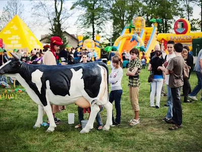 Konkurs dojenia sztucznej krowy - Park Atrakcji Arabski - Organizacja Imprez, Pikników, Festynów