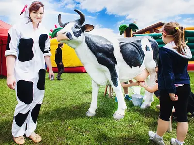 Konkurs dojenia sztucznej krowy - Park Atrakcji Country Zagroda - Organizacja Imprez, Pikników, Festynów