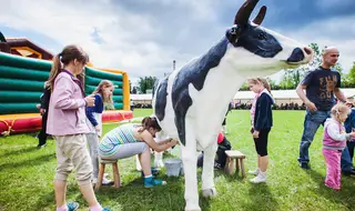 Sztuczna krowa do dojenia - Organizacja Imprez, Pikników, Festynów - Dodatkowa atrakcja na imprezy