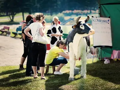 Konkurs dojenia sztucznej krowy - Park Atrakcji Country Zagroda - Organizacja Imprez, Pikników, Festynów