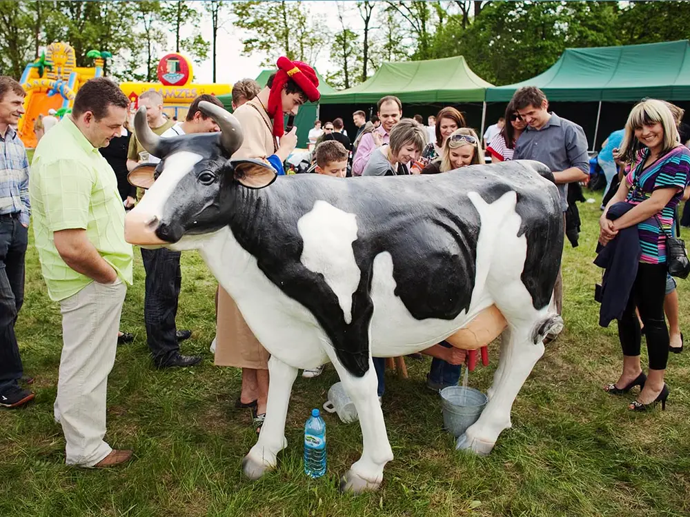 Park Atrakcji Arabski - zdjęcie 8 - Organizacja Imprez, Pikników, Festynów