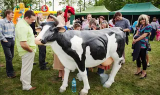 Sztuczna krowa do dojenia - Organizacja Imprez, Pikników, Festynów - Dodatkowa atrakcja na imprezy