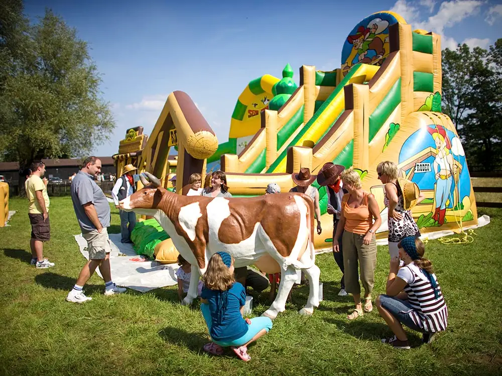 Park Atrakcji Country Zagroda - zdjęcie 2 - Organizacja Imprez, Pikników, Festynów