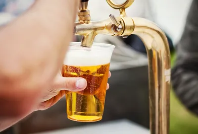 Pwo, Cola, Fanta, Sprite (500 ml) - NAPOJE - Organizacja imprez plenerowych, masowych