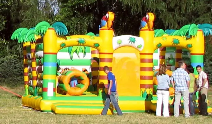 Plac zabaw „Dżungla” - Organizacja Imprez, Pikników, Festynów