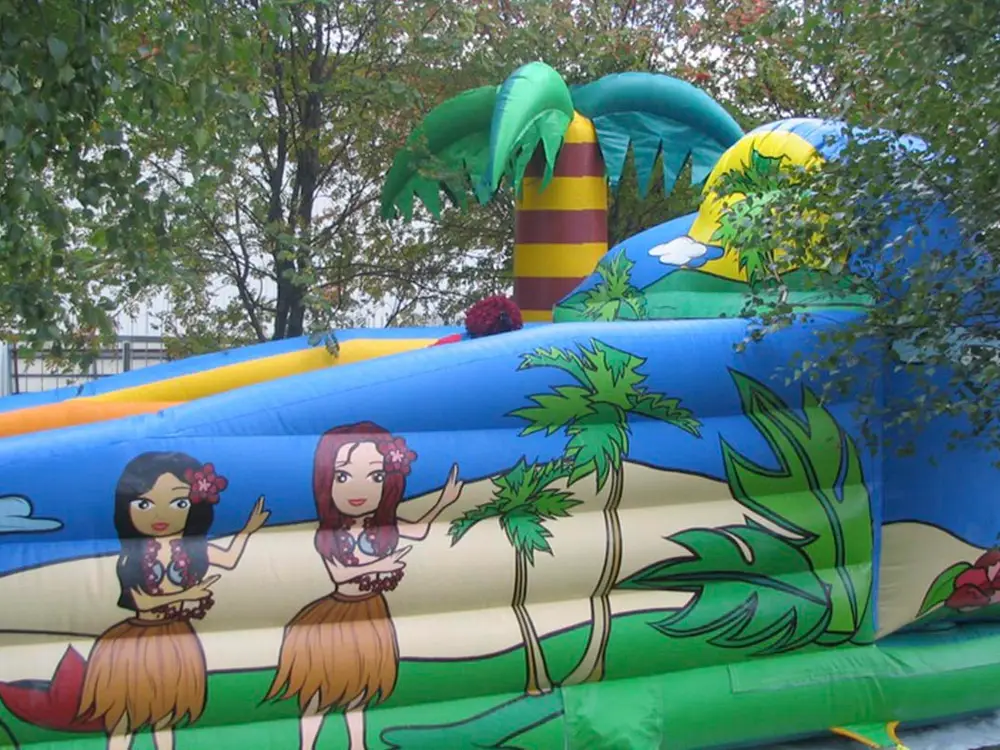 Sprężynująca Lina Hawaje - zdjęcie 3 - Organizacja Imprez, Pikników, Festynów