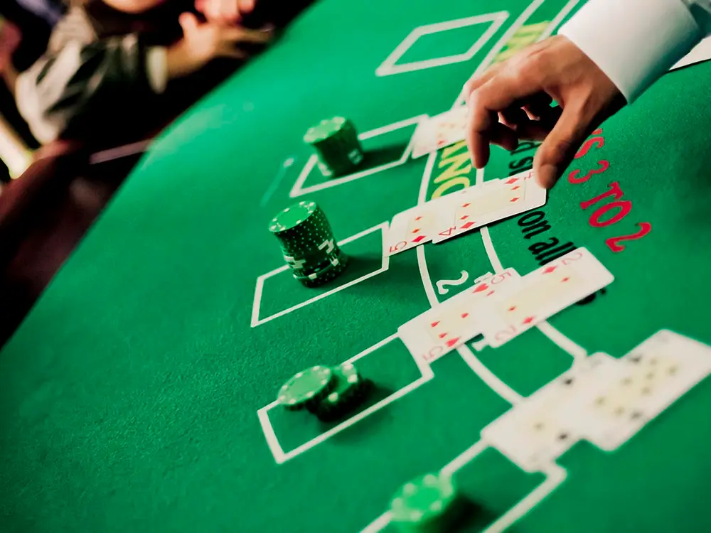 Park Atrakcji Country Zagroda - zdjęcie 4 - Organizacja Imprez, Pikników, Festynów